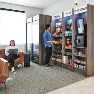 hybrid model micro market